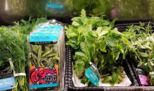 herbs at the co-op2